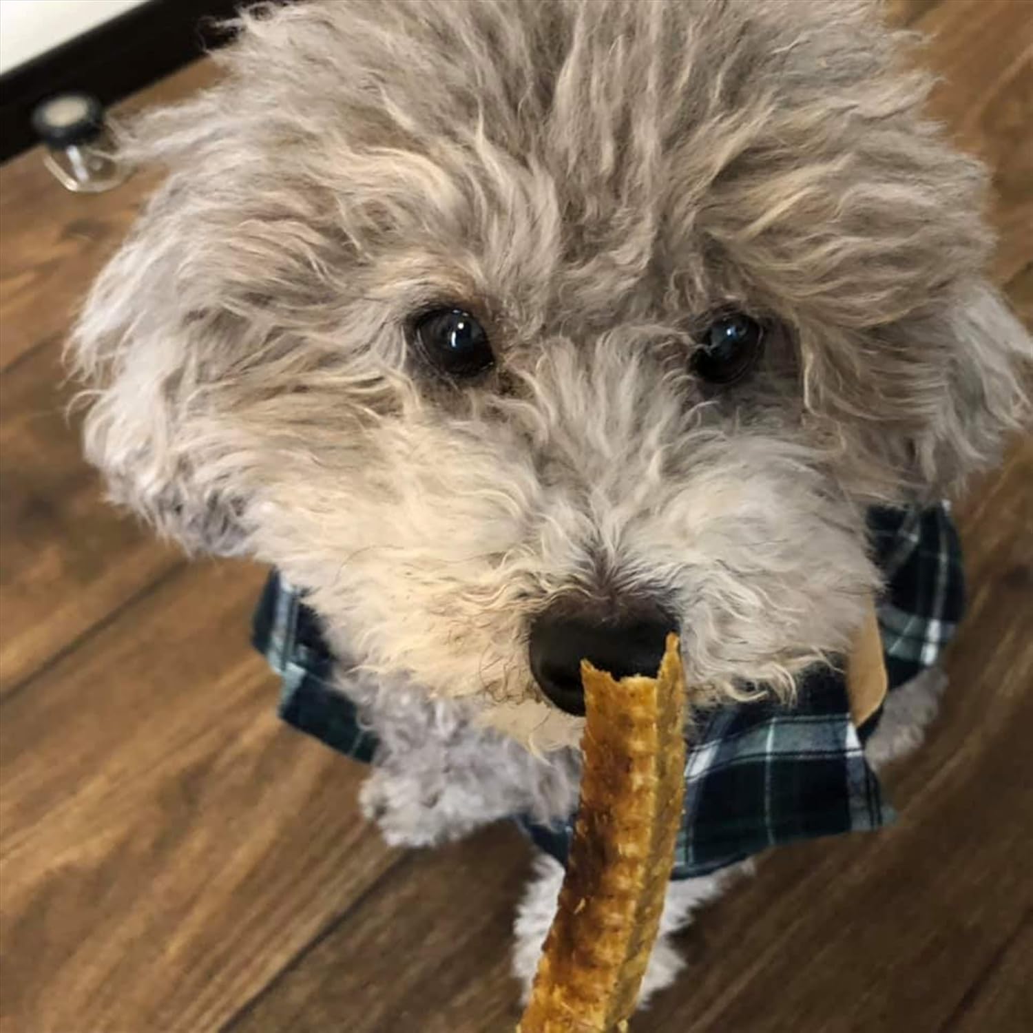 Amazon わんのはな 犬用おやつ うなぎボーン 15g 2個 まとめ買い わんのはな ジャーキー 通販