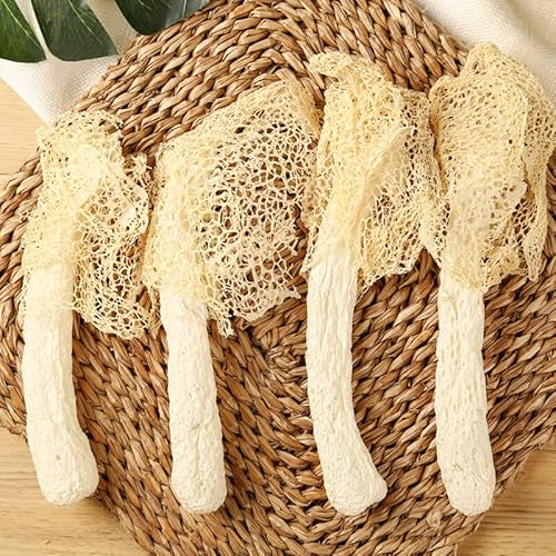 Bamboo Fungus Dry Goods Fresh Non-Specialty Farm Edible Mushroom Bamboo Fungus Dried Bamboo Fungus Soup Gutian Specialty 50G竹荪干货新鲜非特产级农家食用菌菇竹荪干竹笙煲汤古田特产50G #TOP2