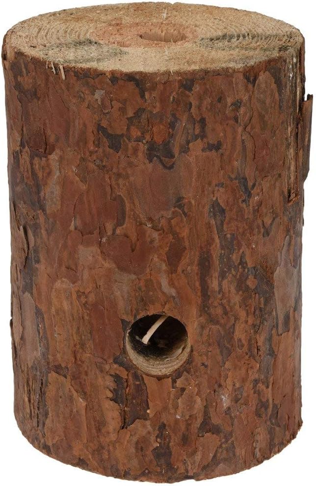 BBQ FS1000020 Trunk Sport and Outdoor Brown 20 x 15 cm