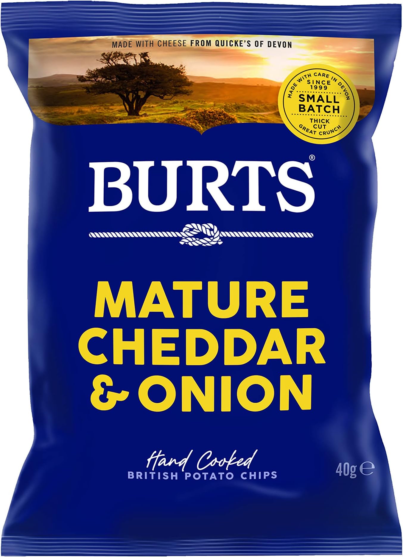 Burts Crisps Mature Cheddar & Onion 40g | Authentic British Potato Crisps | Gluten Free | Hand Cooked