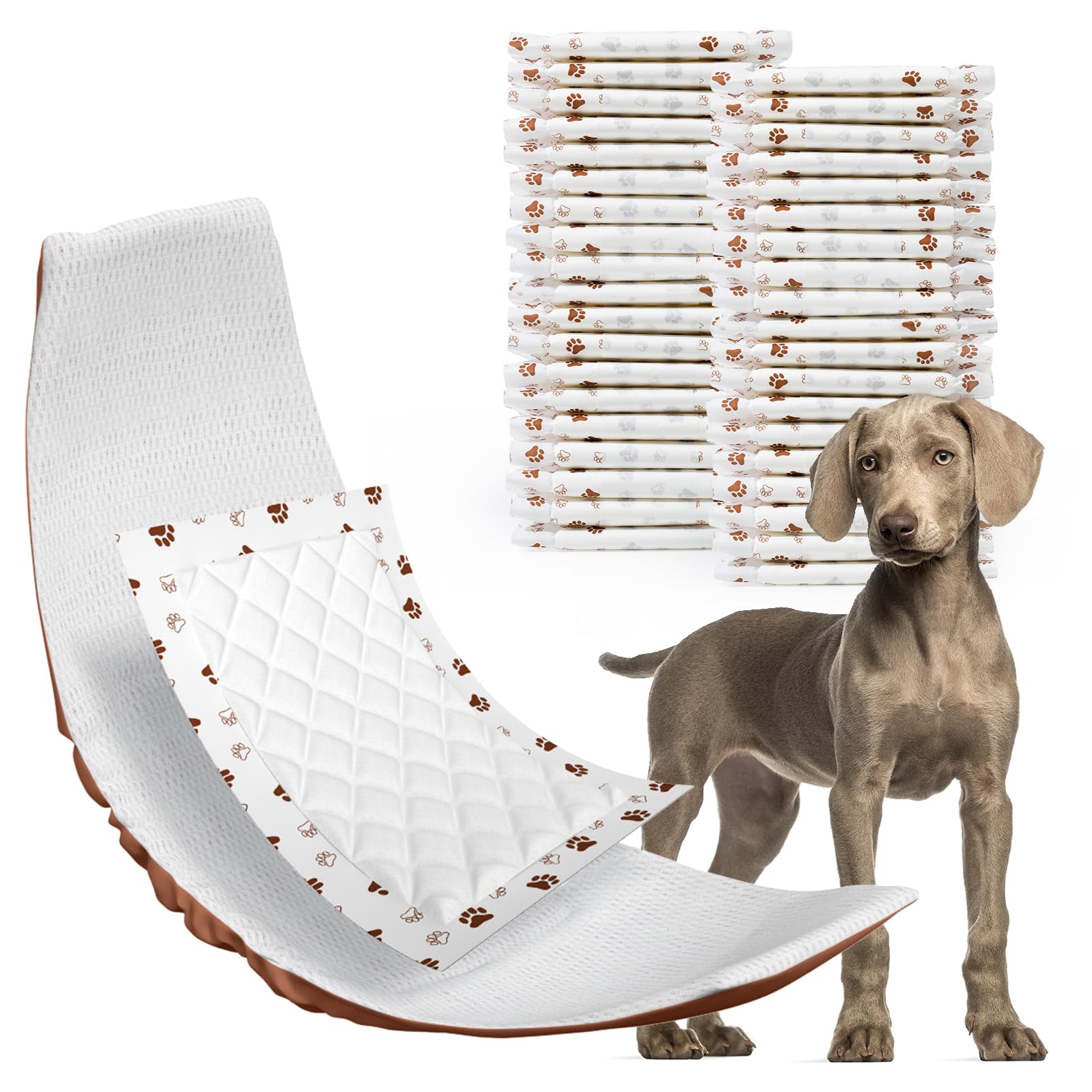 Doublures de couches pour chien MICOOYO contre l'incontinence des grands chiens L x50