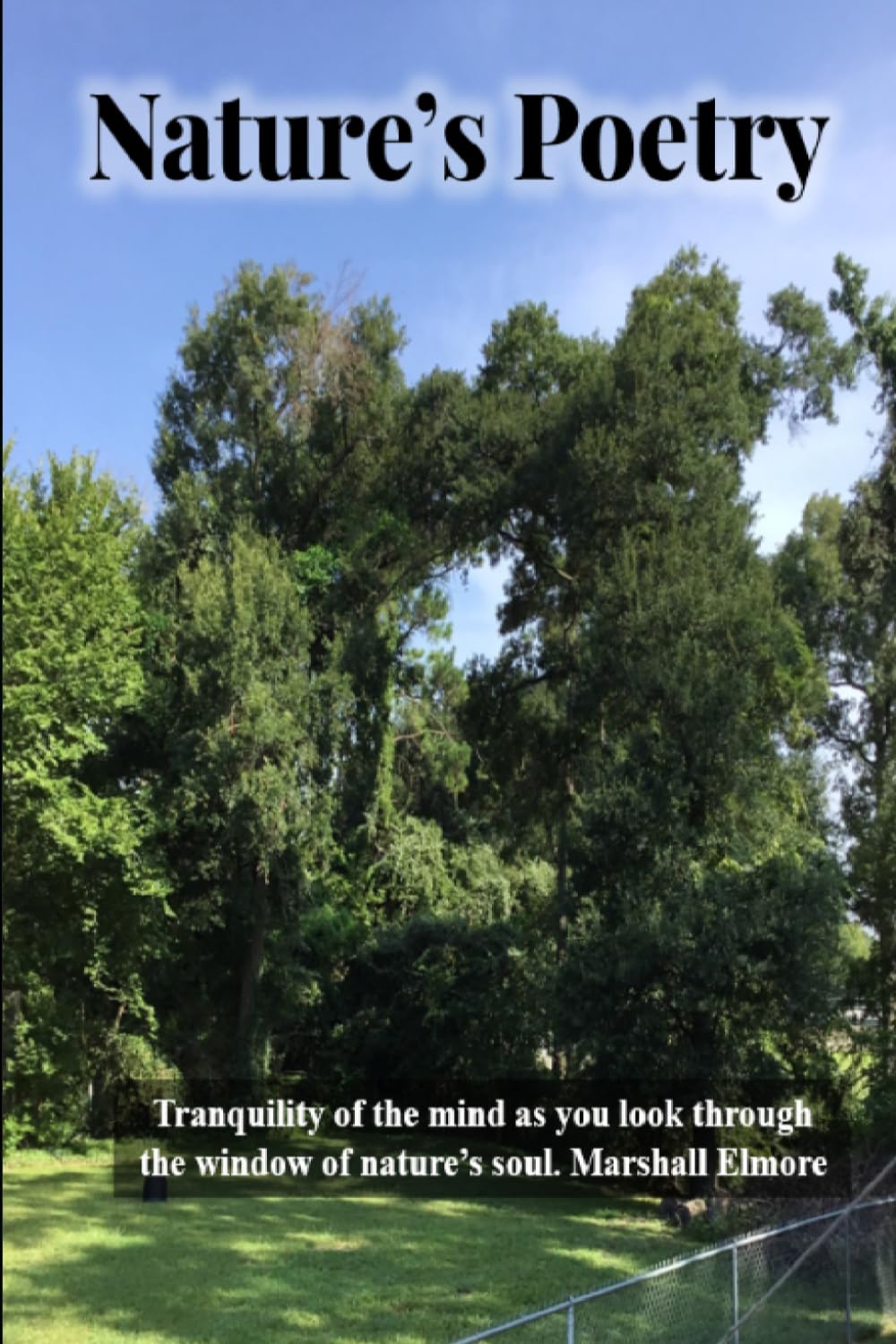 Nature's Poetry: Tranquility of the mind as you look through the window of nature's soul.