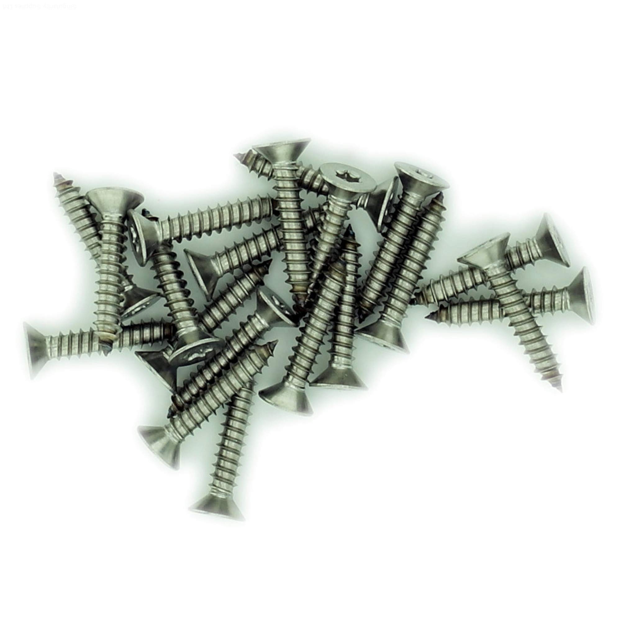 Singularity Supplies Silver No.10 X 1.775 (4.8Mm X 45Mm) Tx Countersunk Self-Tapping Screw - Stainless Steel (A2) (Pack Of 20)