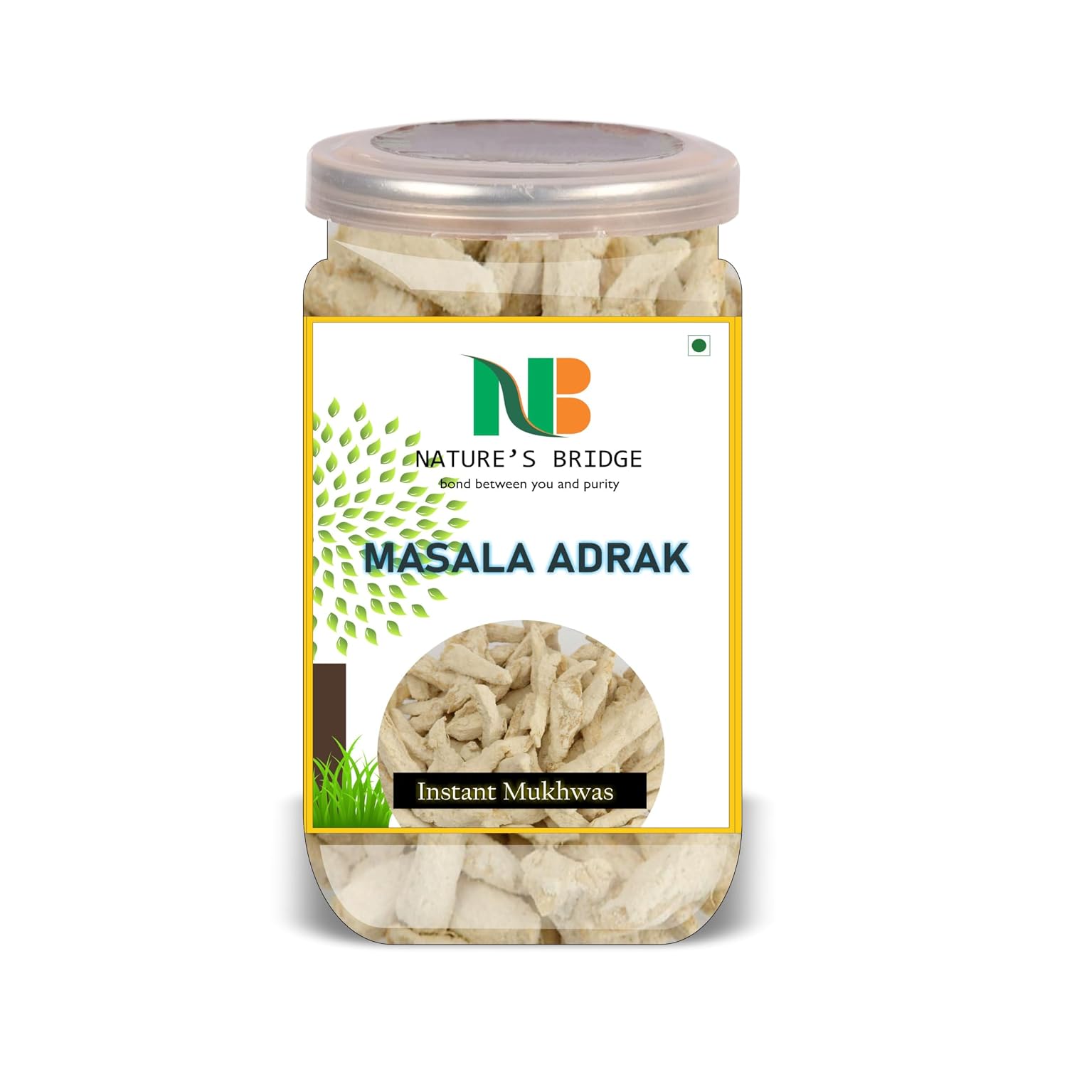 NATURE'S BRIDGE Masala Adrak 500 Gram Airtight Container