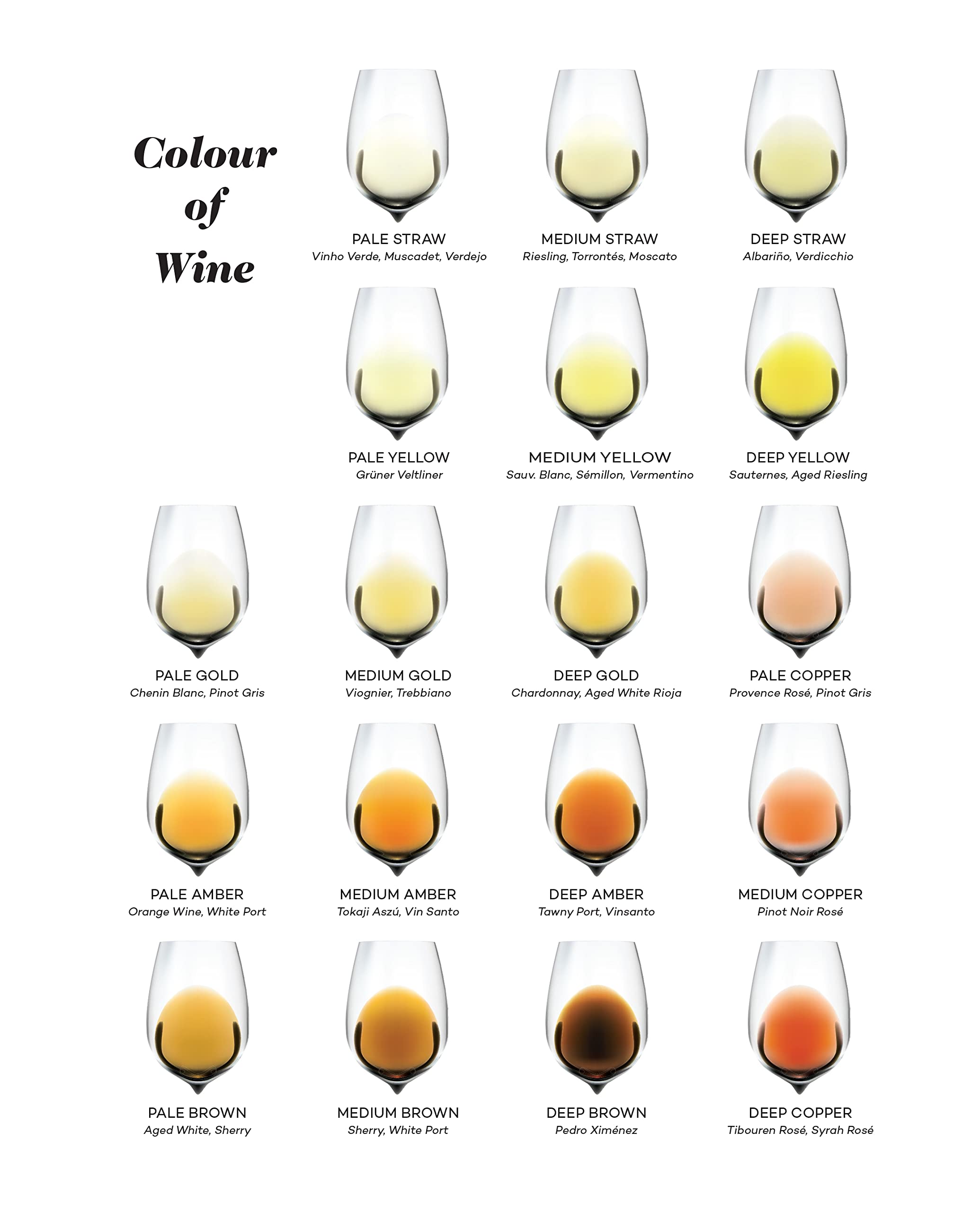 Wine Folly Deluxe: The Master Guide