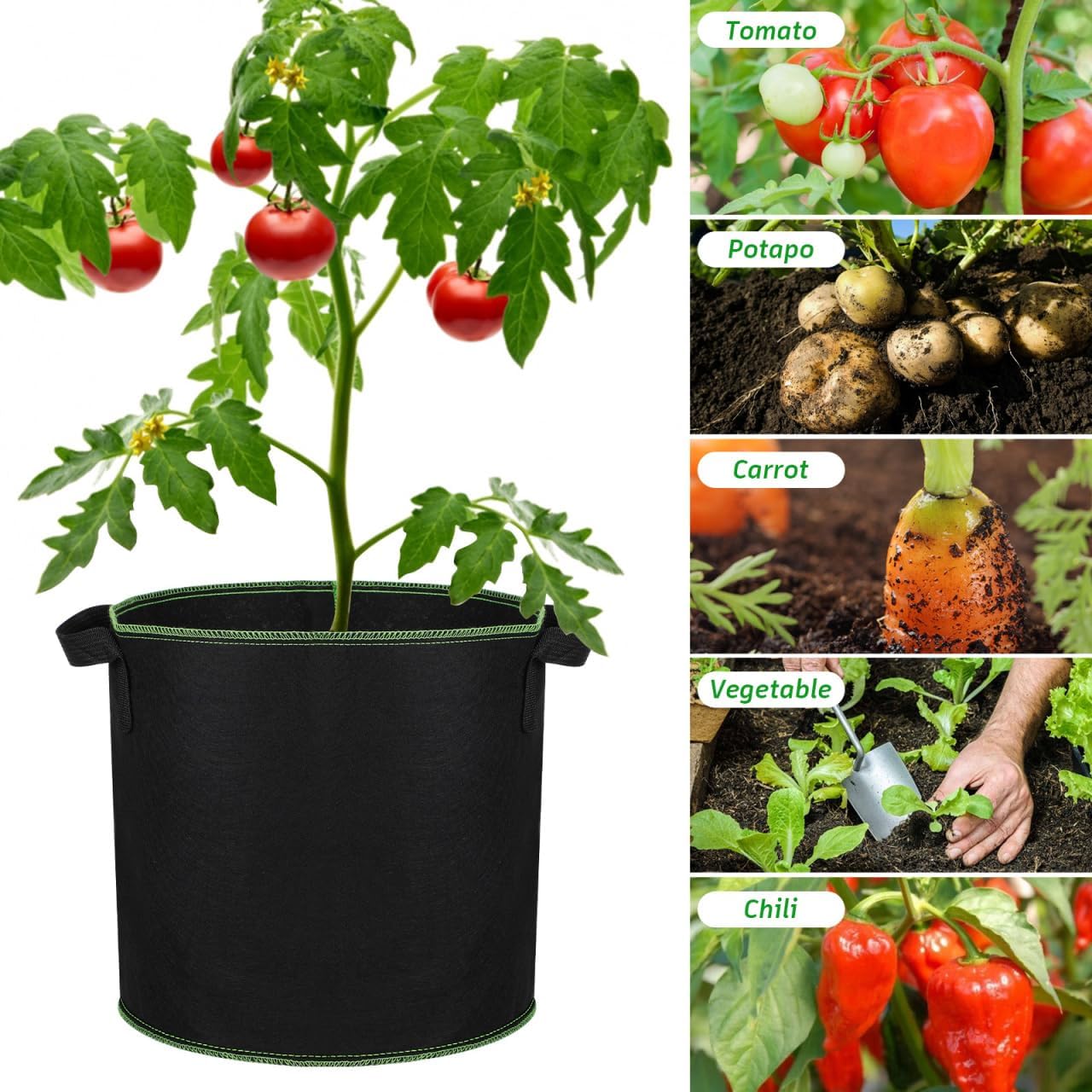 Grow Bags Fabric Plant Bag: 5 Pcs 4 Gallon Planter Bags with Handles - Heavy Duty Grow Pots Nonwoven Garden Bag for Plants Flower Vegetable Gardening