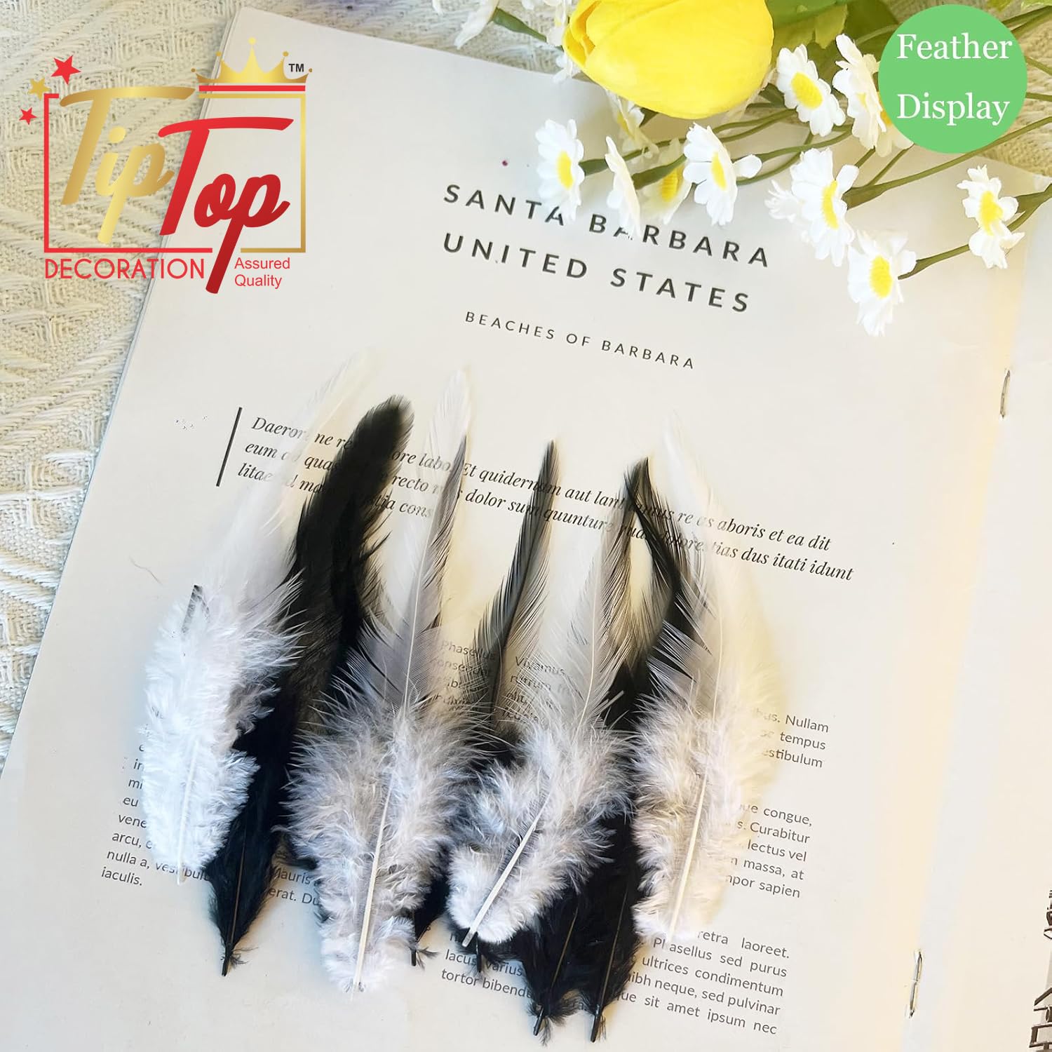 Tiptop Decoration Natural Dyed Pointed Feathers (10-15 Cm) (50 Pieces) (Natural Wild White) 2