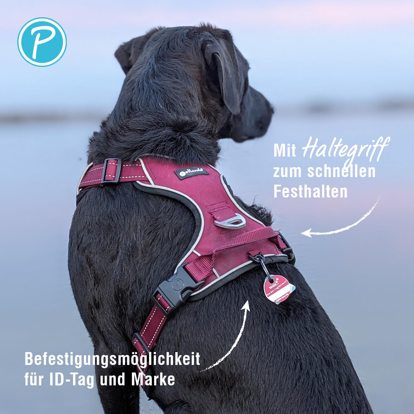 Petlando Hundegeschirr Outdoor – stark reflektierend, gepolstert, atmungsaktiv, robust, stufenlos verstellbar, Zwei D-Ringe – Berry, S (Halsumfang 36-48cm, Brustumfang 46-56cm)