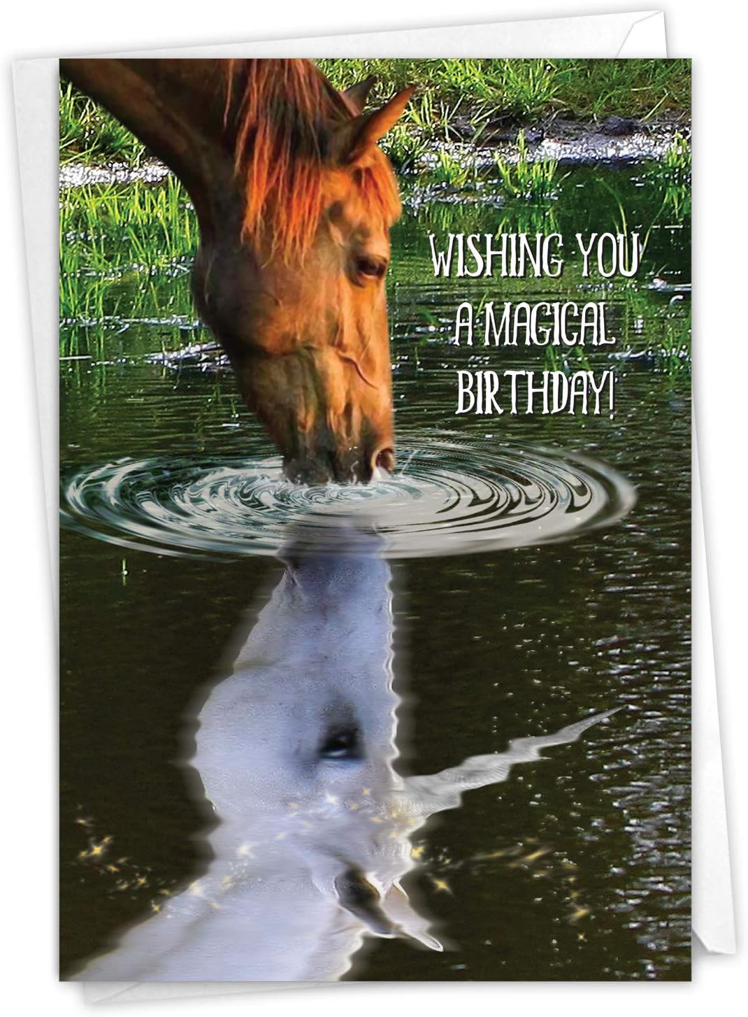 Funny Birthday Wishes For Horse Lovers Amazon.com: The Best Card Company - 1 Fun Birthday Greeting Card - Mythical  Kids Bday Notecard With Envelope - Aspirations C7076Hbdg : Everything Else