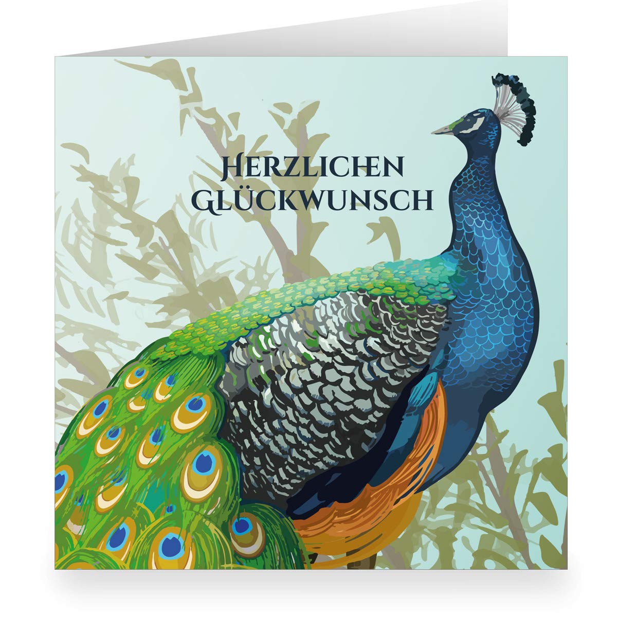 Kartenkaufrausch Set 24 x Elegante Vintage Glückwunsch-karte (quadratisch, 15,5x15,5cm inkl Umschlag) mit Pfau: Herzlichen Glückwunsch - große XL Karte zur Geburt, Hochzeit, Examen & Geburtstag