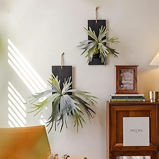 Artificial Staghorn Fern Wall Decor, Farmhouse Hanging Plant Wall Vase, Set of 2, Black Wood Mount Fake Planter for Bathroom,Dining Room, Living Room (Large)