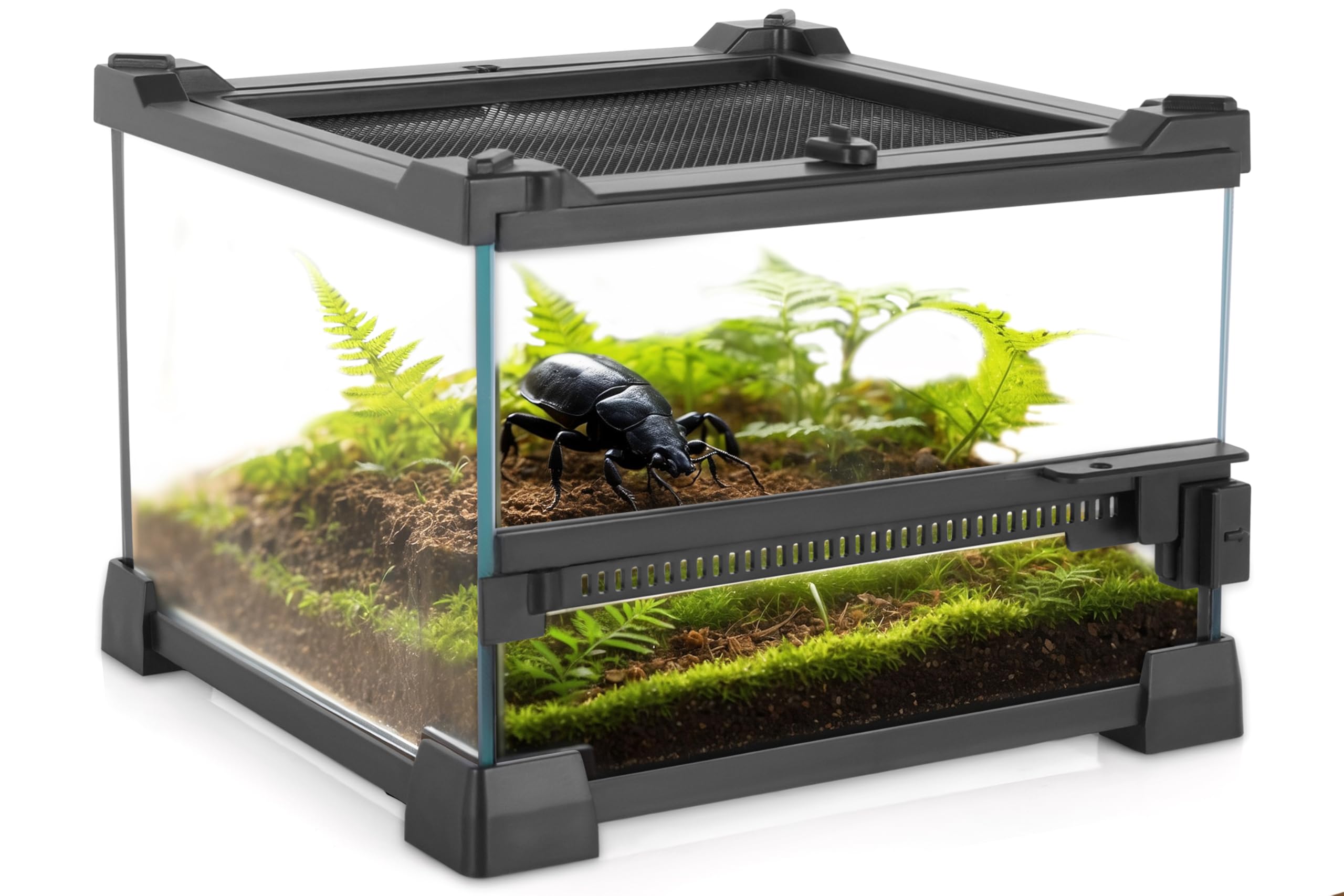 NEPTONION Mini Reptile Glass Terrarium 8"x8"x6" Durable Reptile Habitat Tank with Heat Resistant Aluminum Alloy Frame, Single Swinging Doors for no Jam by Sand and Other Debris