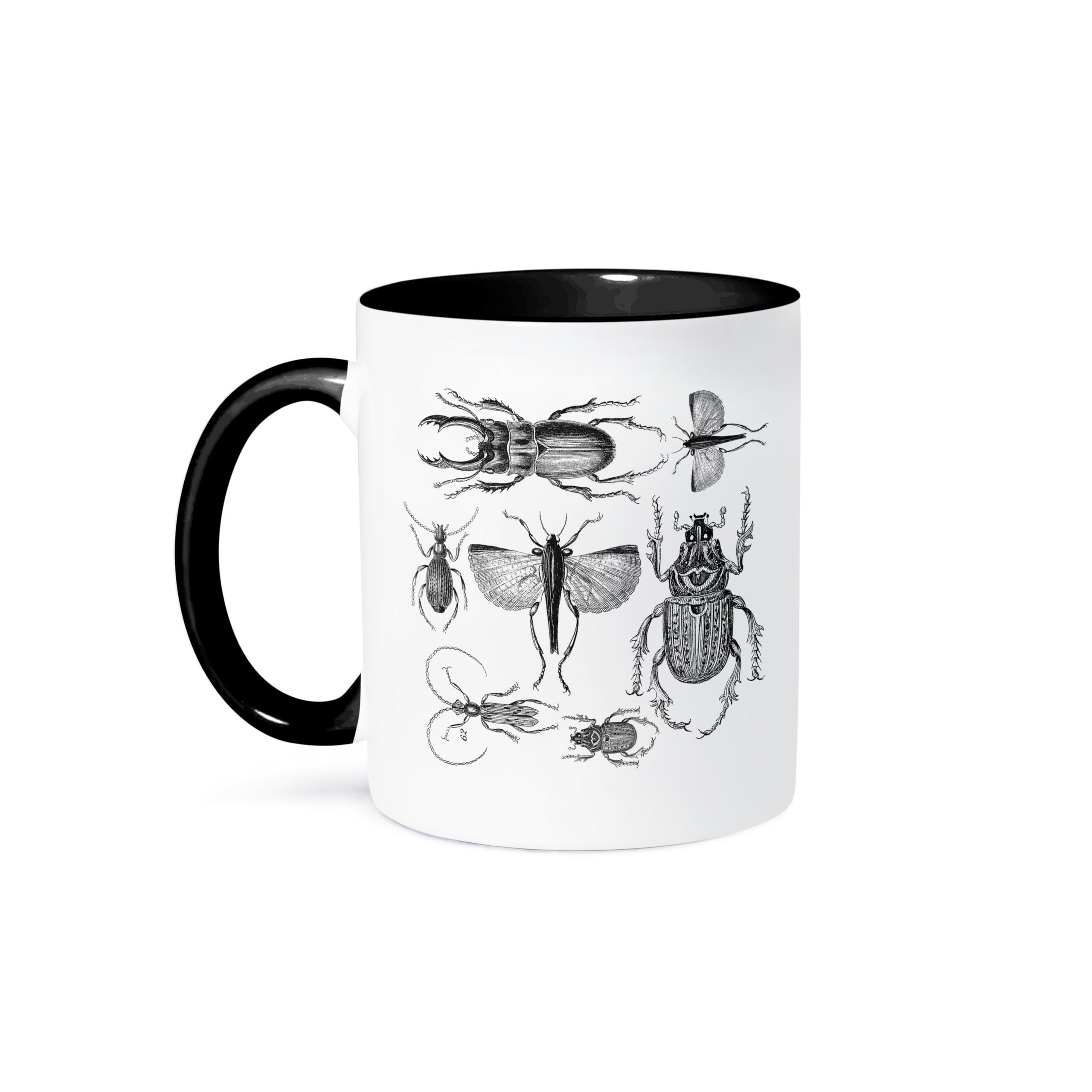 Novelty Mugs 3dRose Cicada Magicicada Two-Tone Blue Mug - 11oz Heat ...