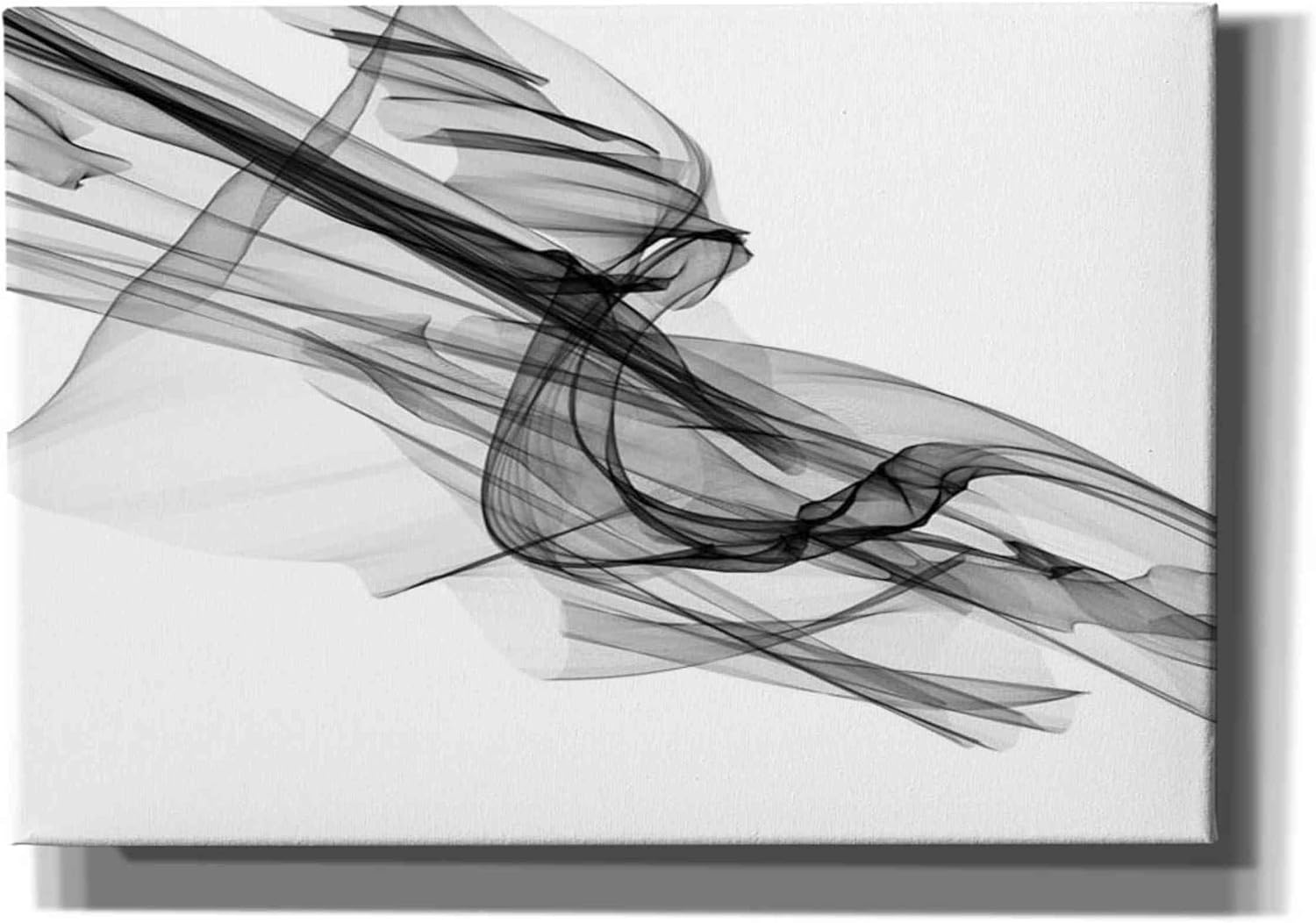 Epic Graffiti 'Abstract Black and White 19-48' by Irena Orlov, Canvas Wall Art, 16"x12"