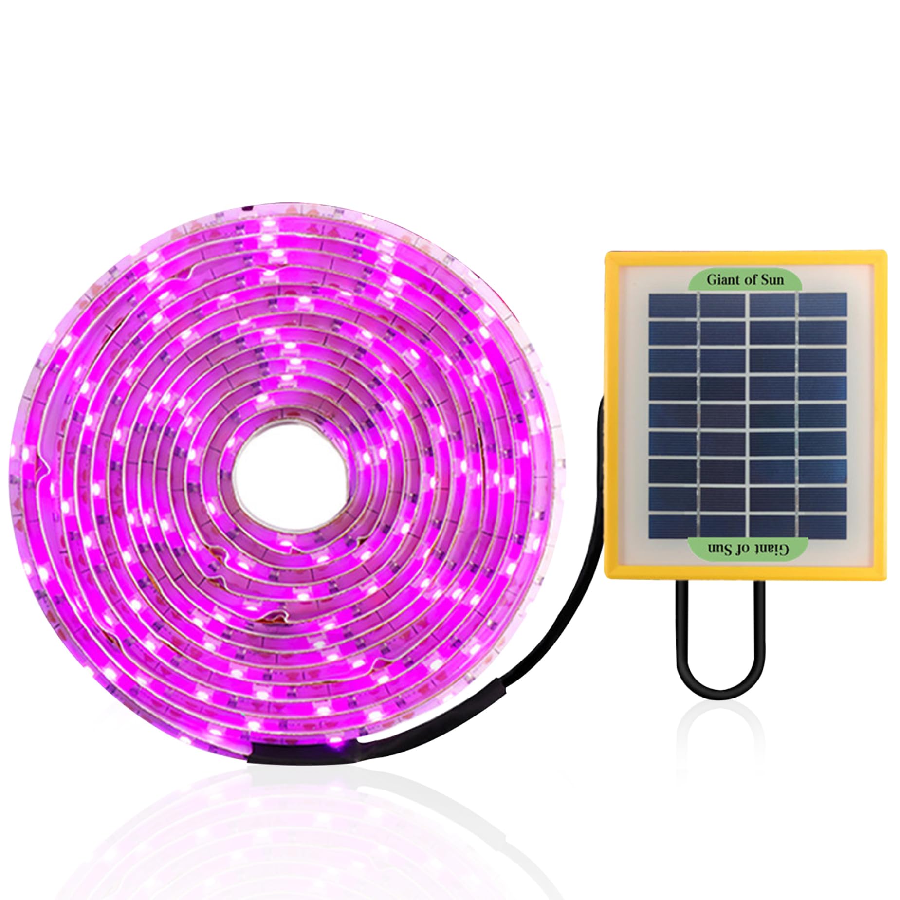Lampes De Culture Pour Plantes IntéRieur à éNergie Bande Lumineuse 5 M Spectre Complet Lampes De Culture Solaires Pour Serre Dissipation Rapide De La Chaleur Lampe Chauffante