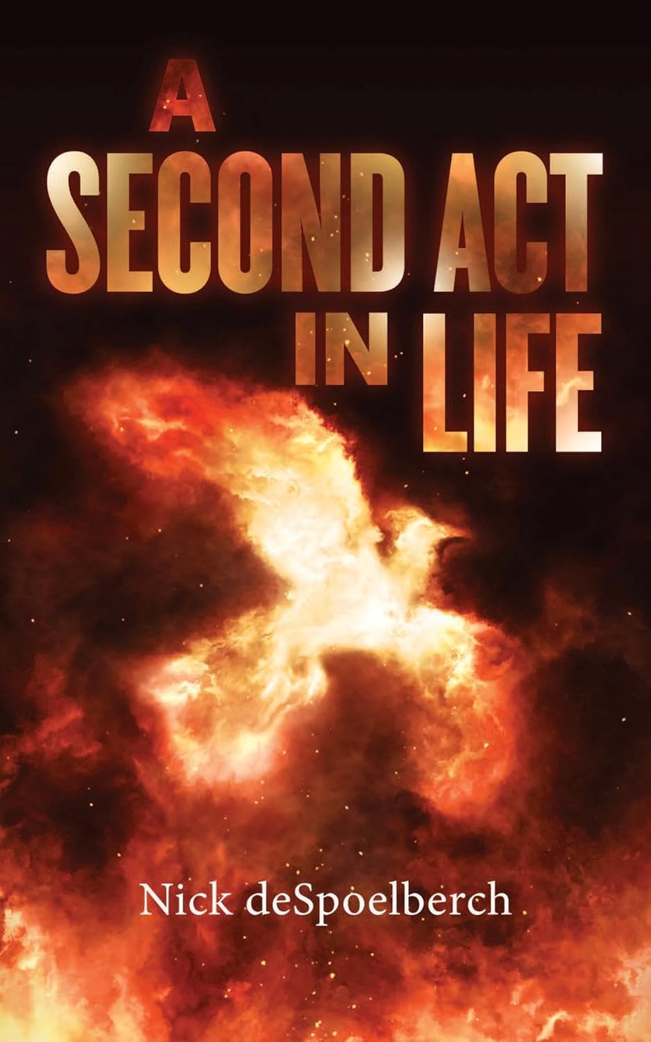 A Second Act in Life      Kindle Edition