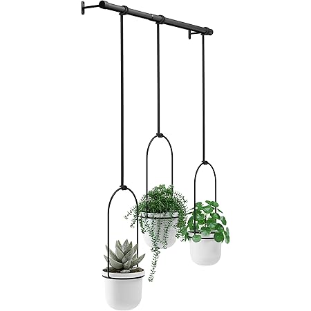 hanging umbra planter window triflora herb garden indoor planters kitchen triple plants stapler acrylic gold