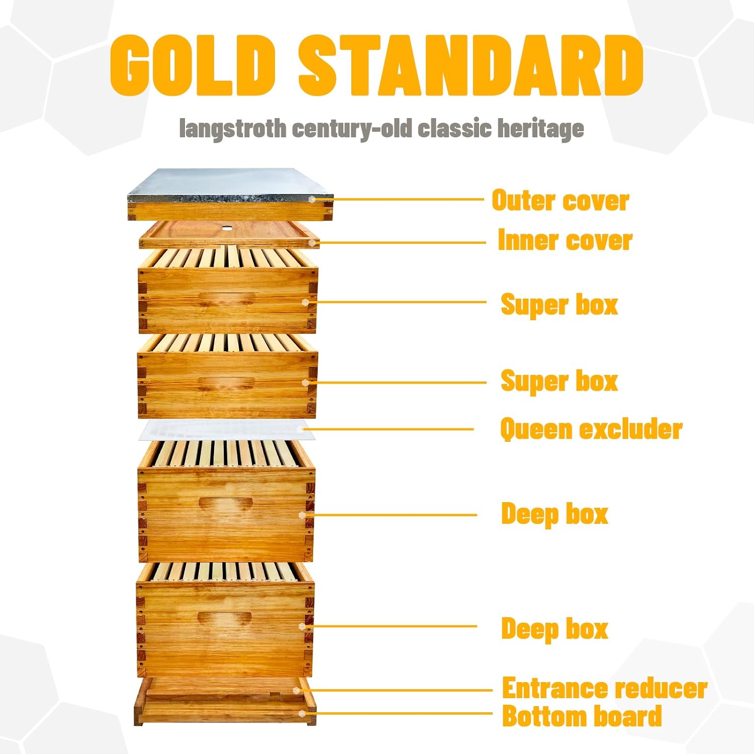 10 Frame Langstroth Bee Hive Beeswax Coated Includes Beehive Frames and Foundations (2 Deep Boxes & 2 Medium Boxes)