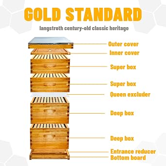 10 Frame Langstroth Bee Hive Beeswax Coated Includes Beehive Frames and Foundations (2 Deep Boxes & 2 Medium Boxes)