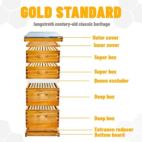 10 Frame Langstroth Bee Hive Beeswax Coated Includes Beehive Frames and Foundations (2 Deep Boxes & 2 Medium Boxes)