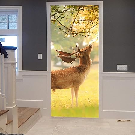 Türfolie Nordlichter Aurora 3D - Selbstklebende Türtapete 77x200cm Für Wohnung & Bad
