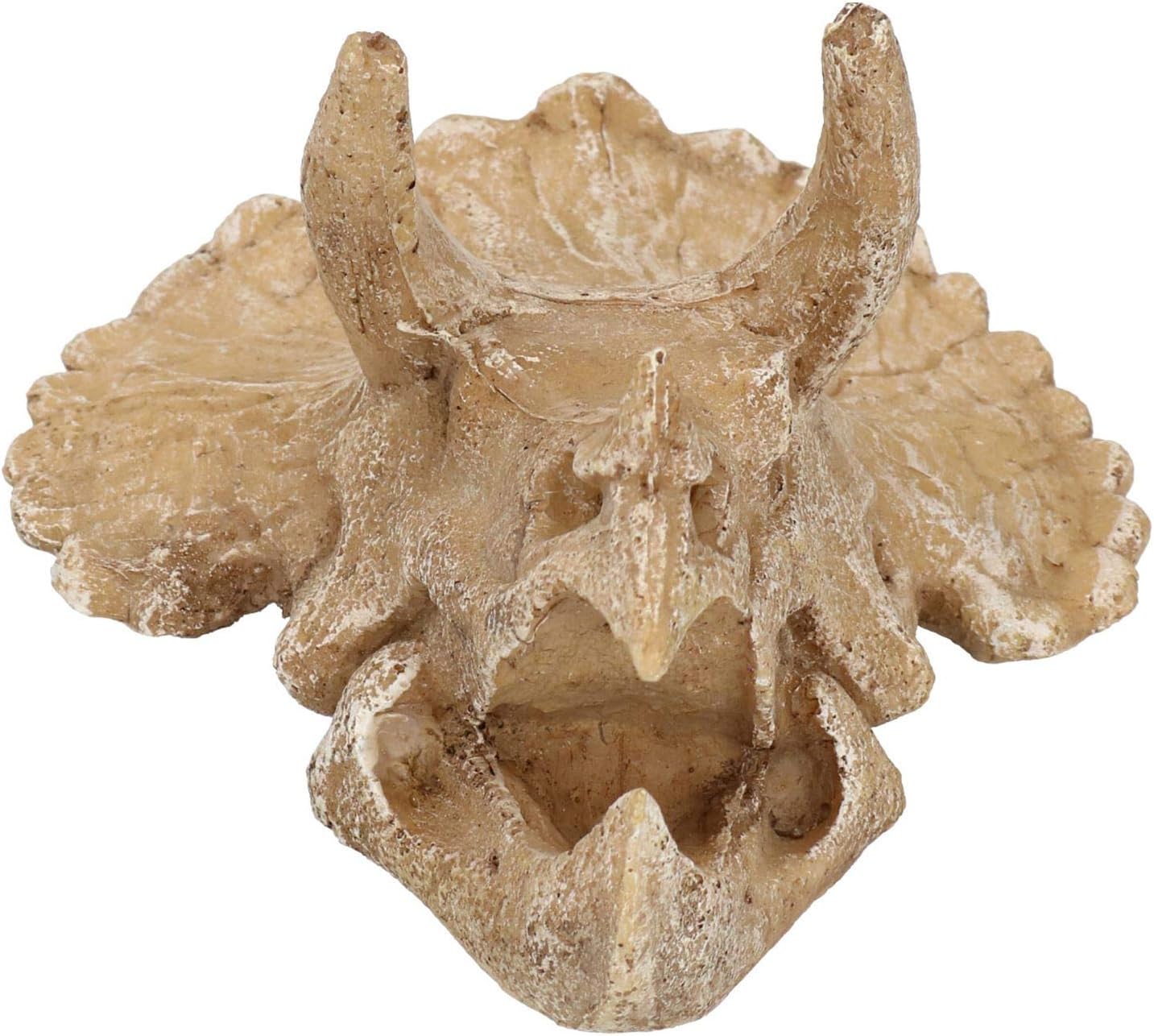 Medium Aquatic Aquarium Triceratops Skull Head Fish Tank Ornament 9x12x15cm