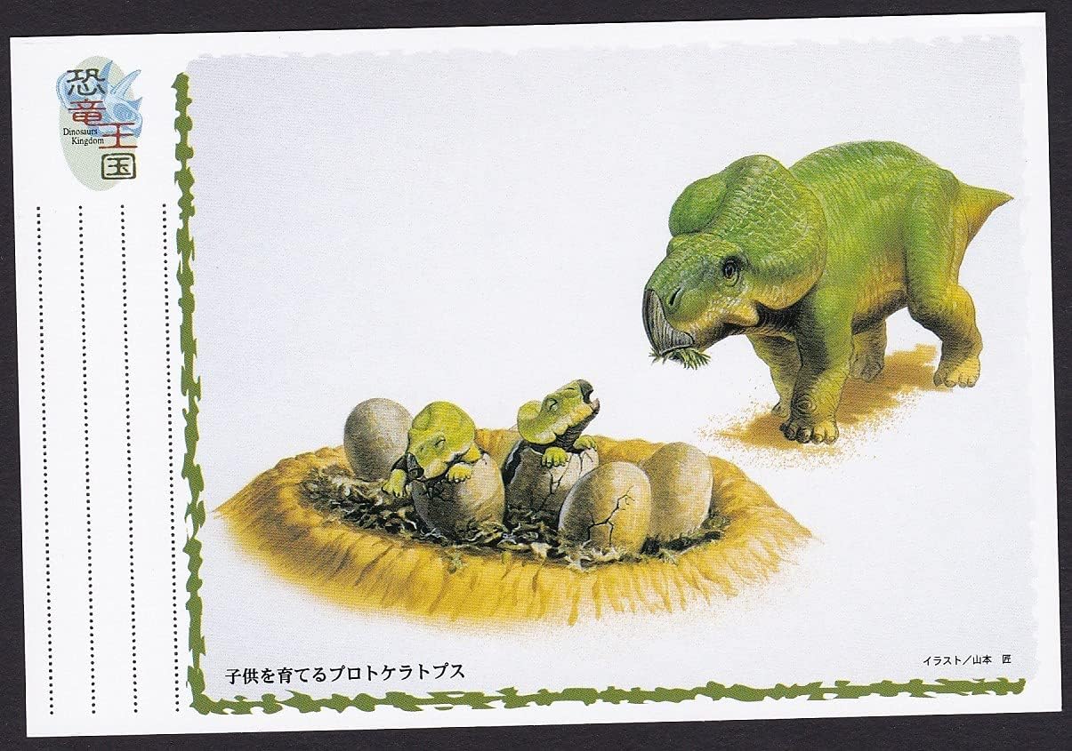 低価格化 恐竜王国 絵入りはがきセット 未使用 5枚 50円 Folhadetangara Com Br