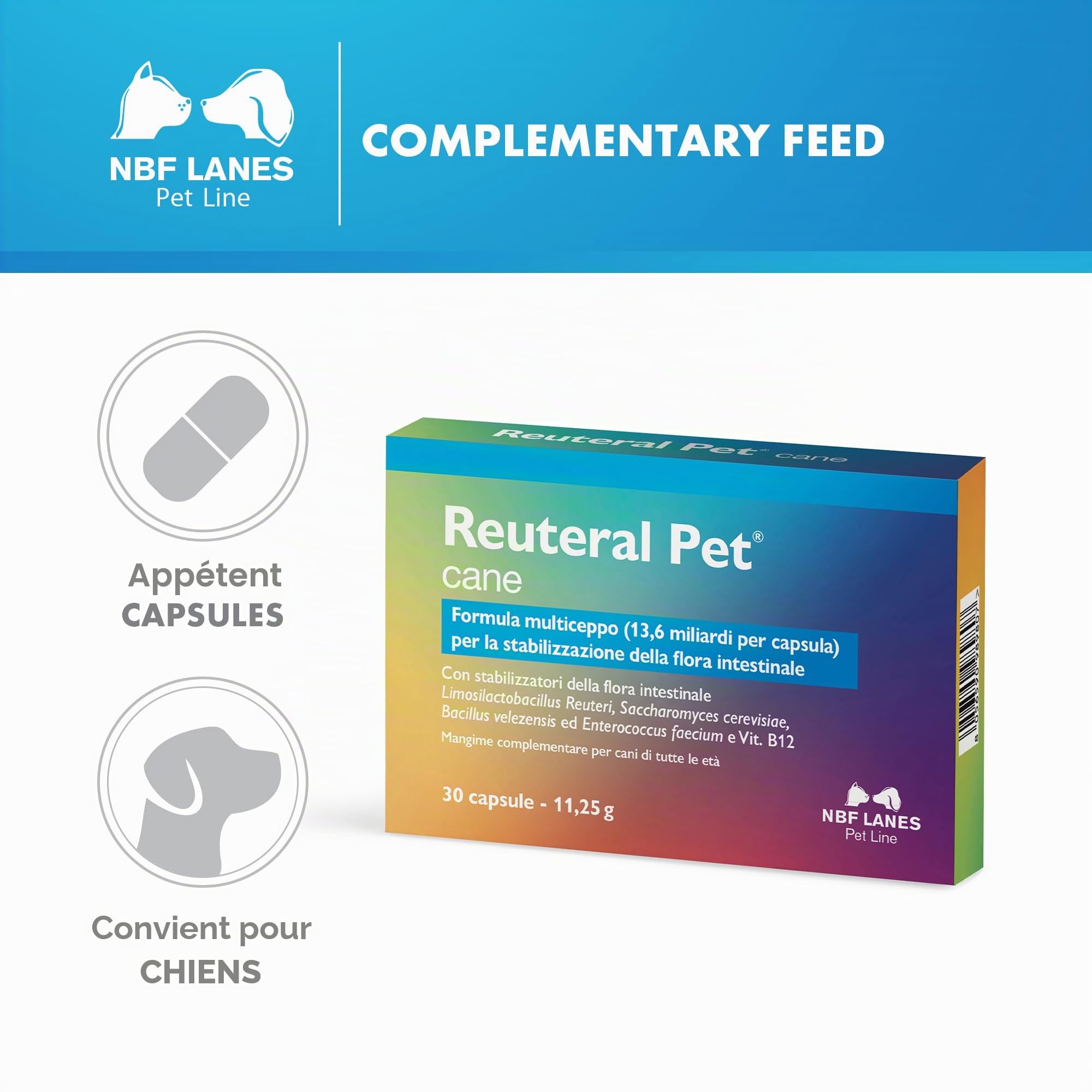 NBF Lanes | Reuteral Pet Chien, 30 Capsules, Probiotique à base de ferments lactiques vivants pour la stabilisation de la flore intestinale chez les chiens