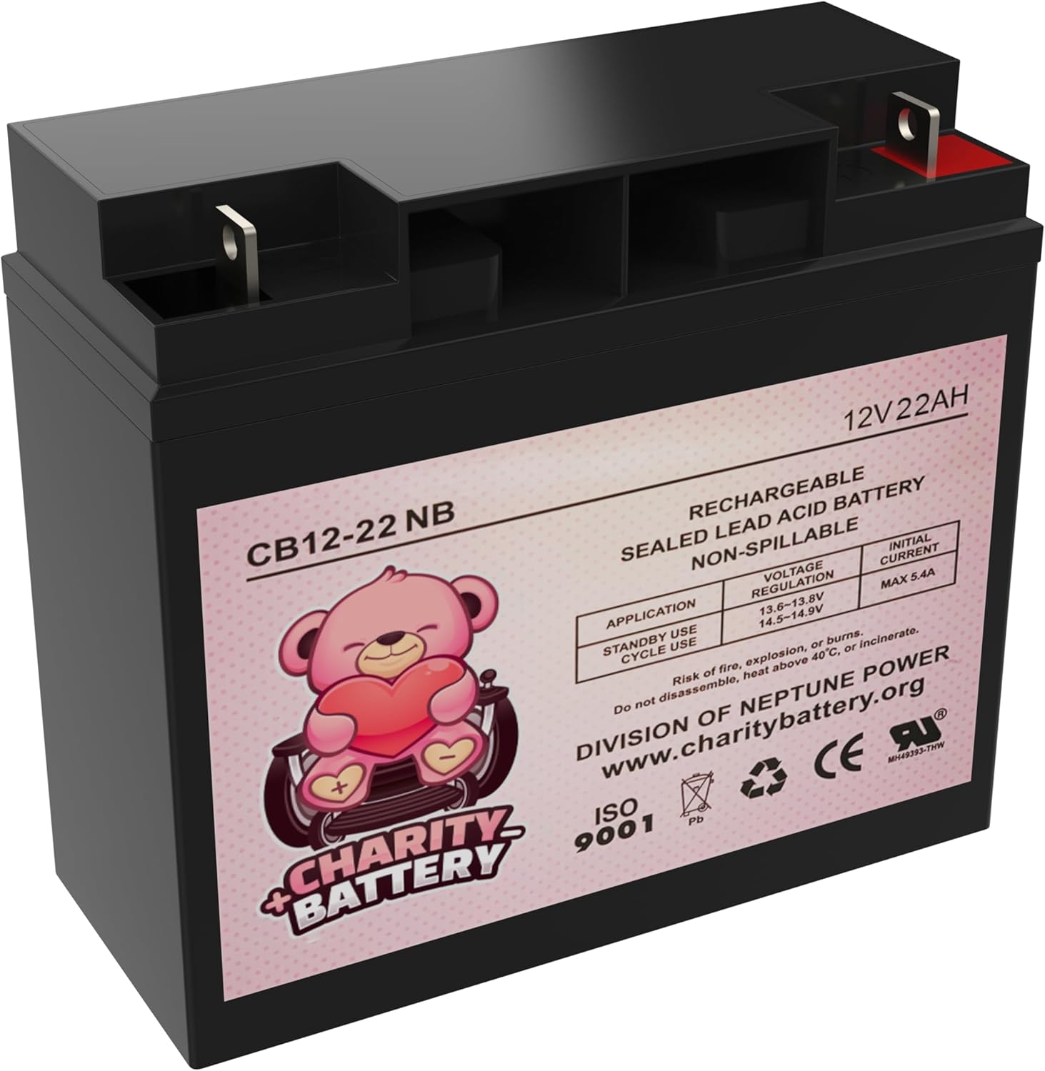 CB12-22 12V 22Ah SLA Battery Replacement for DR Field and Brush Mower
