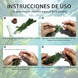 Ver la foto 3