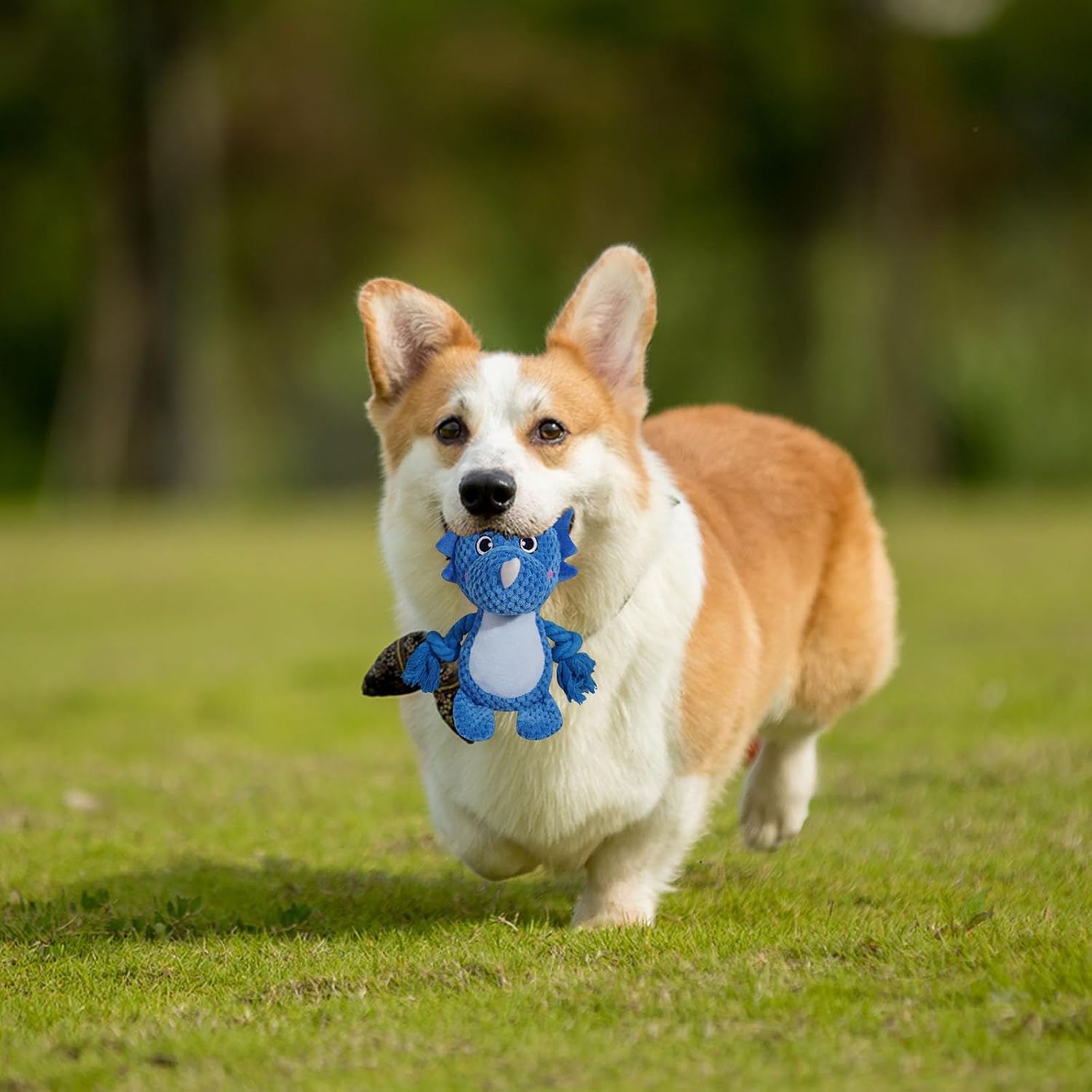 Cute Animals Interactive Dog Squeak Toys, Rope Plush Pet Chew Toys - Blue image 5