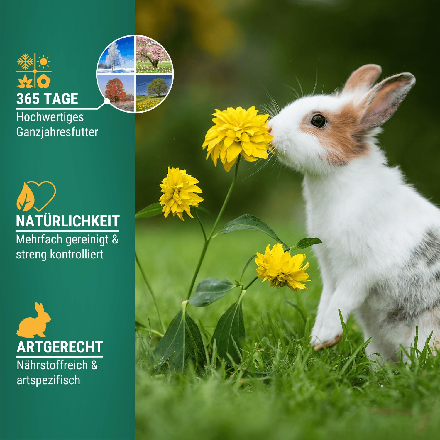 Mangime Per Polli E Galline 10 Kg - Acquisto Minimo 3 Confezioni - Foto 7