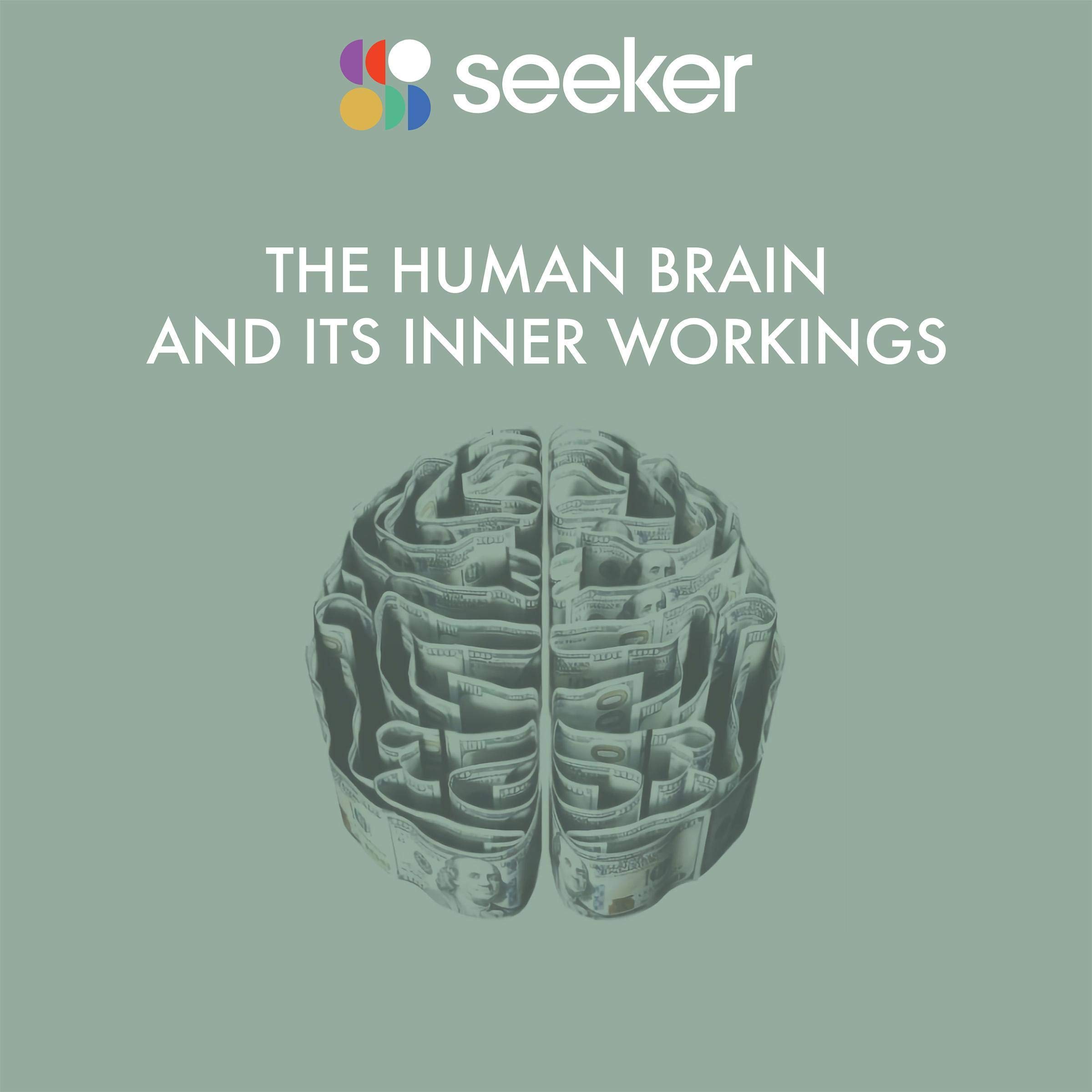Cover art for The Human Brain and Its Inner Workings
