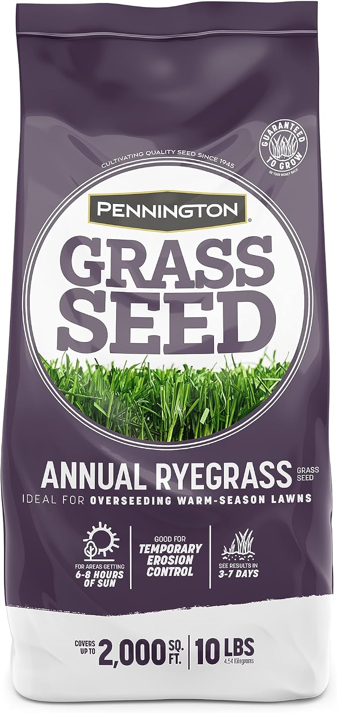 Amazon.com : Pennington Annual Ryegrass Grass Seed 10 lb : Patio, Lawn ...