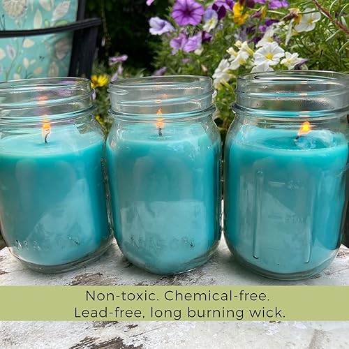 Miniatura 4 de Velas de menta fresca con aceites esenciales, fabricadas en Estados Unidos, (juego de 3) para patio, terraza, uso en exteriores o interiores, 88