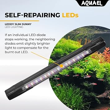 Leddy Slim 5W Sunny 8-11.75 Black