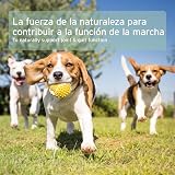 Ver la foto 8