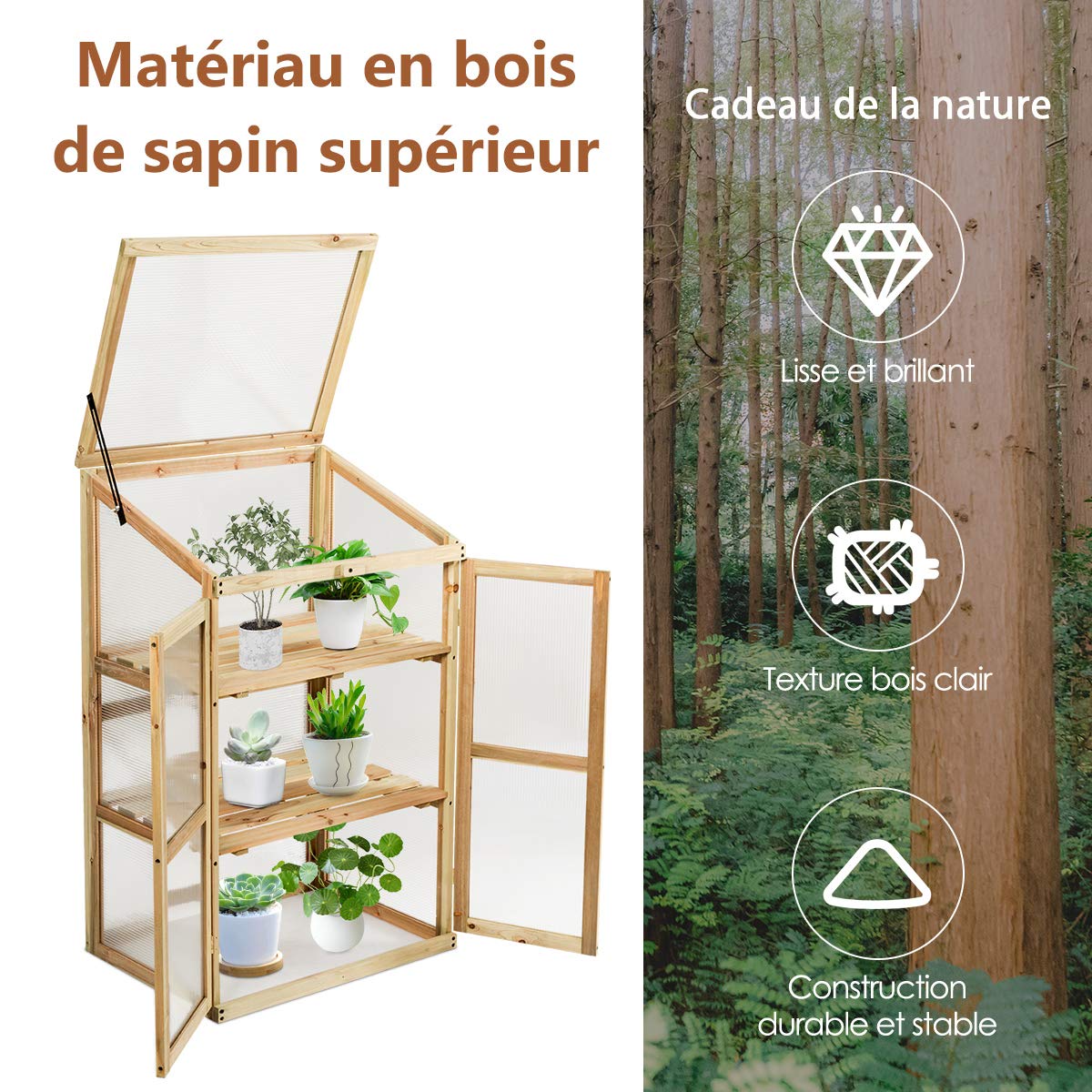 COSTWAY Mini Serre en Bois 60x45x100CM Vitrages Transparents en Polycarbonate Plateau Supérieur Amovible avec Etagères à 3 Niveaux pour Jardin/Balcon/Porche
