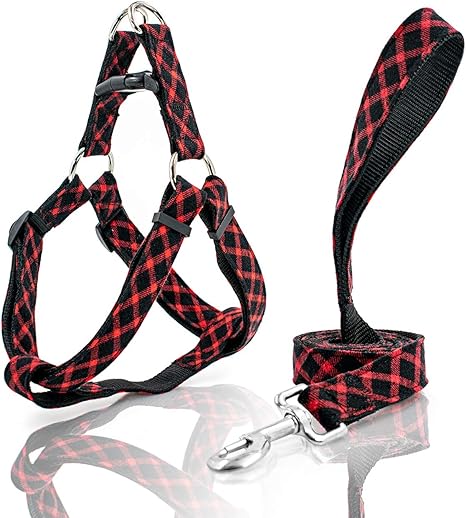 Back clip harness for small dogs Clearance