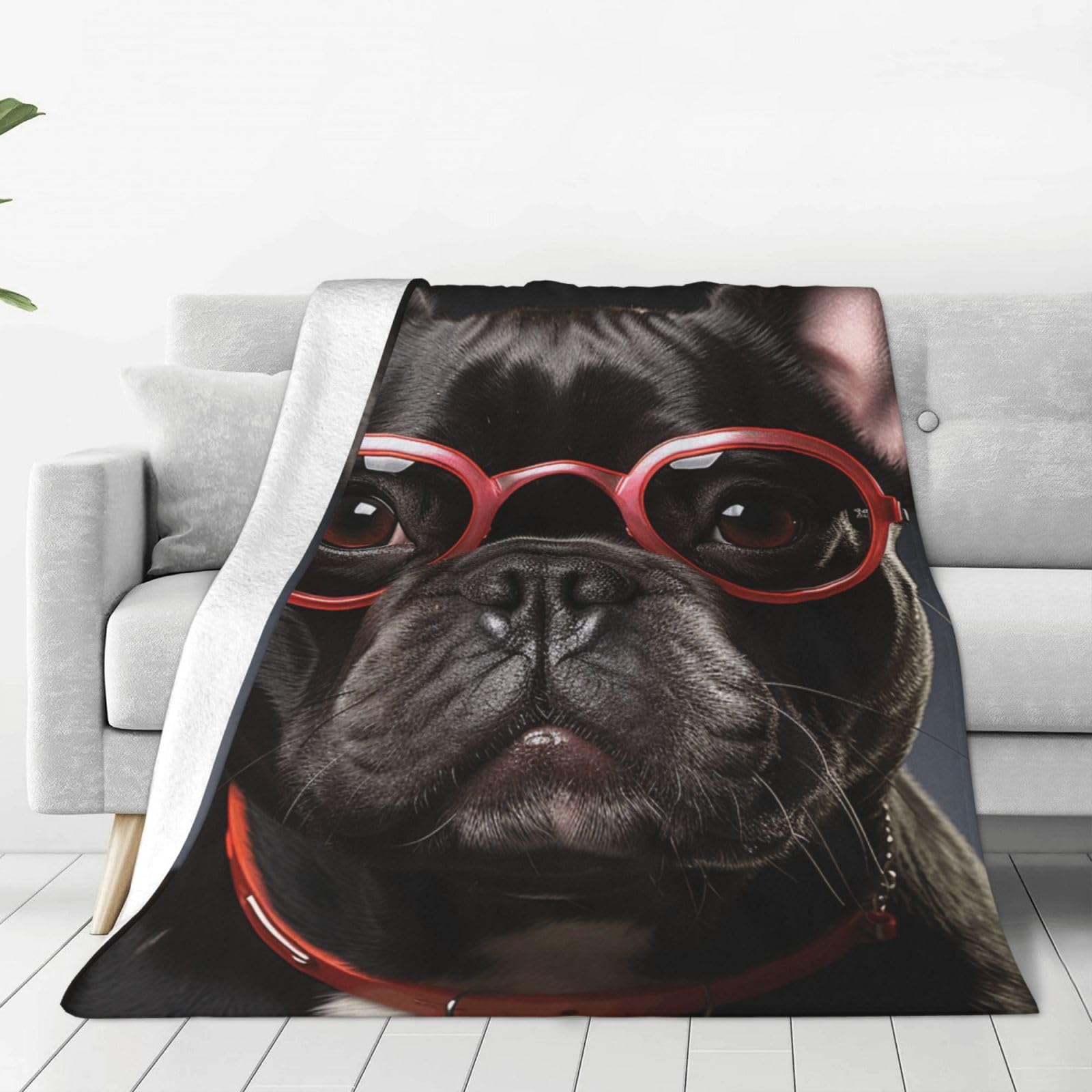 Throw Blanket for Couch Thick Soft Fleece Blankets Warm Cozy Air Conditioning Quilt All Seasons French Bulldog Blanket Lightweight Flannel Fuzzy Blankets for Bed Couch Living Room Sofa 40"x30"