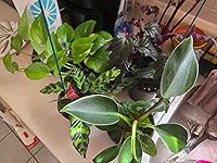 Review Image by tammyramxd tammyramxd