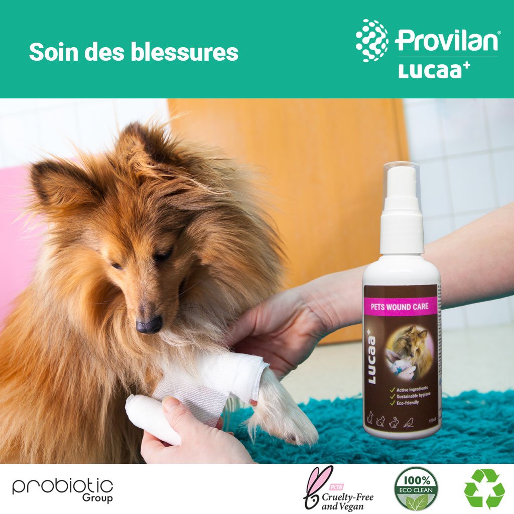 LUCAA+ Pflege-spray Wunden für Hunde und Katzen | Wundreinigung mit Mikroorganismen | Biologisch und Vegan zertifiziert