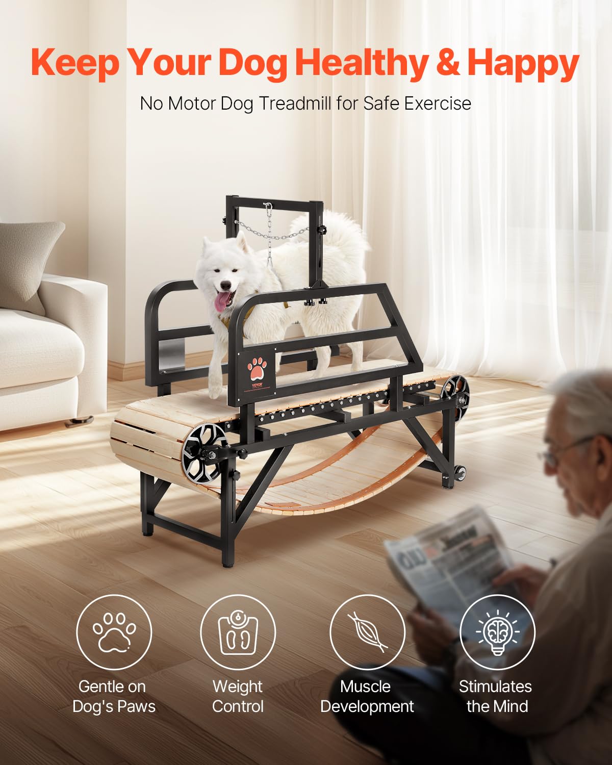 VEVOR Cinta de Correr para Perros Medianos de 175 x 51 x 130 cm Capacidad de Carga de 100 kg Máquina para Correr para Perros con Rampas Ajustables, Equipo de Ejercicio para Perros Medianos, Negro