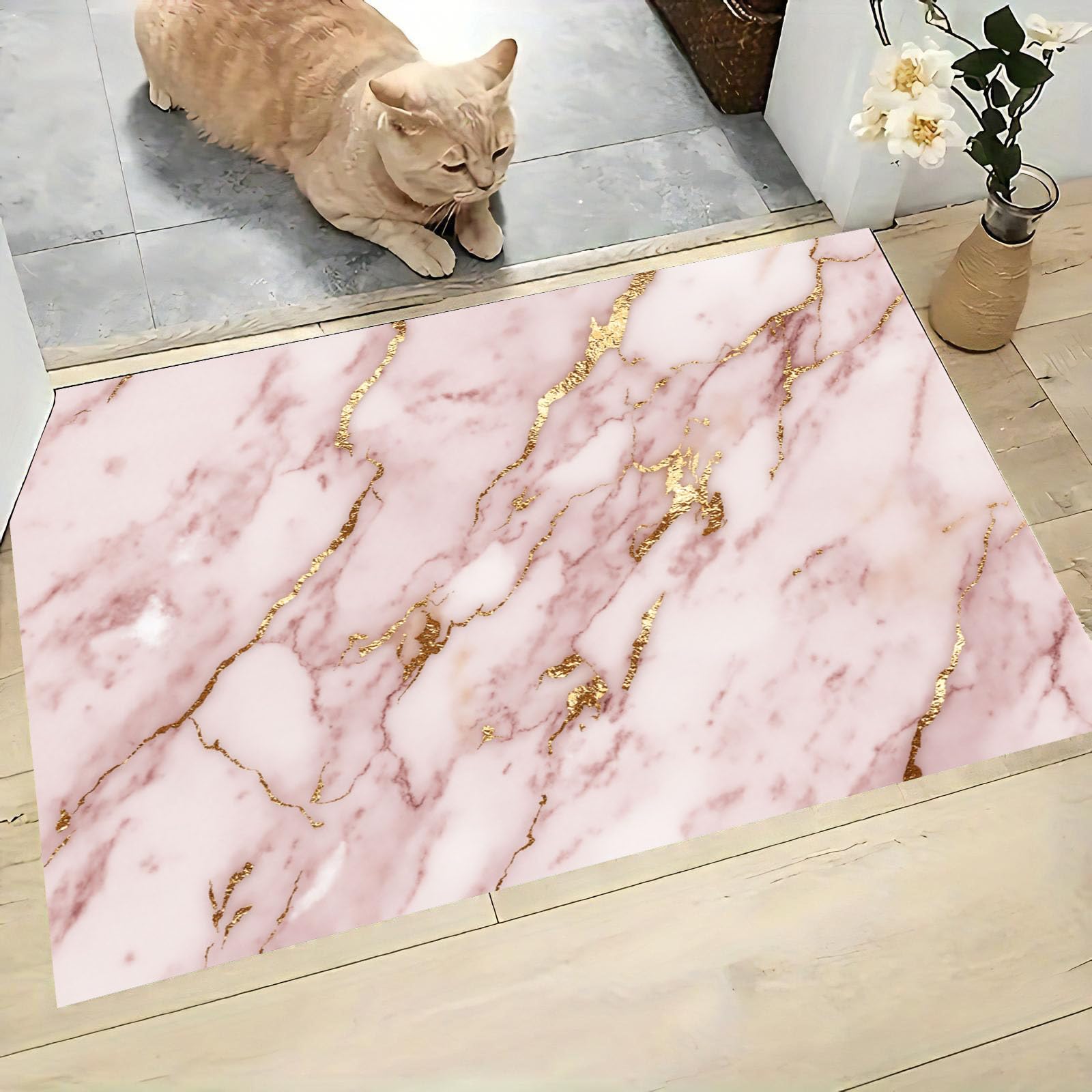 Paillasson Intérieur Entrée Marbre Rose 60x90 cm Tapis Absorbant