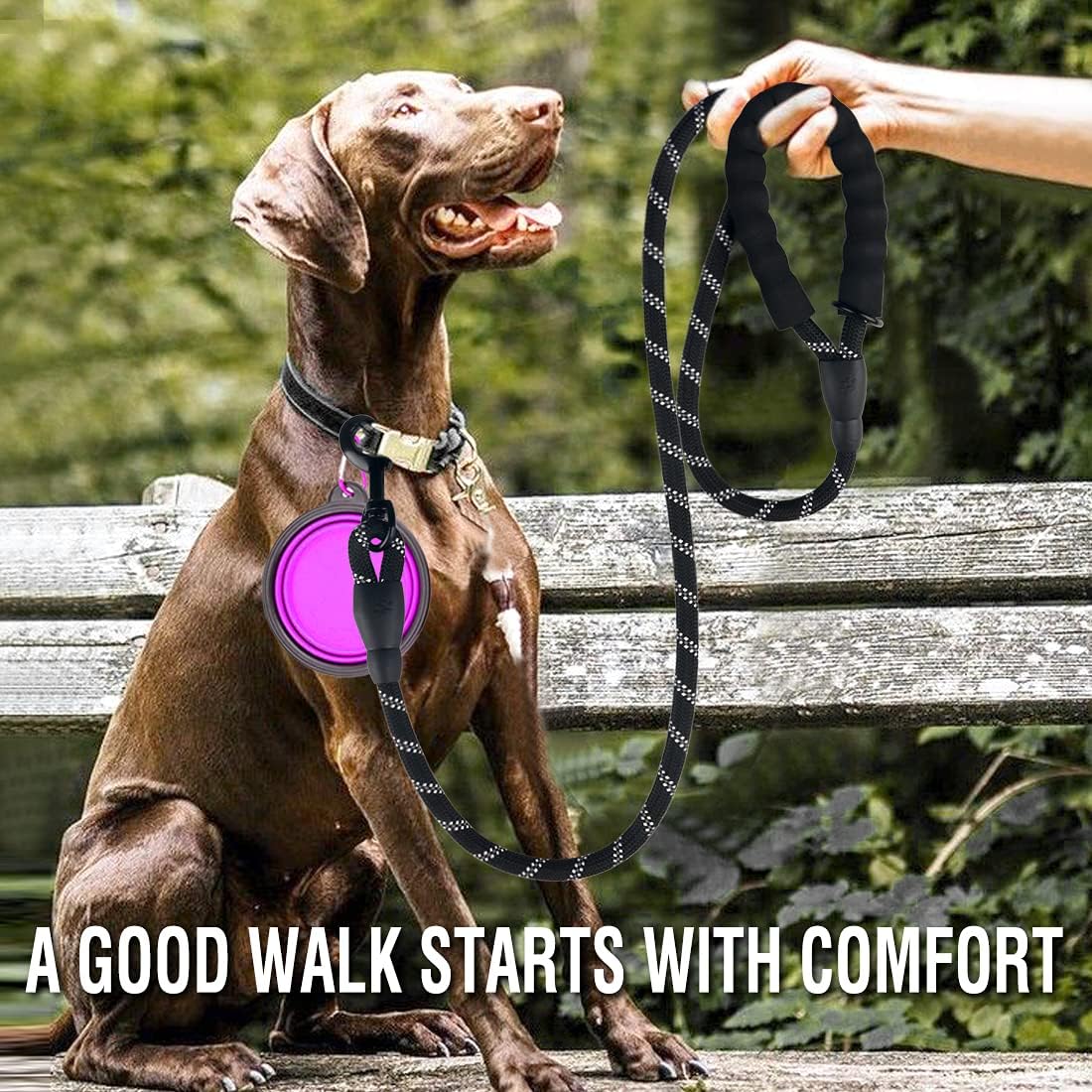 COOYOO 2 Pack Dog Leash 5 FT Heavy Duty - Comfortable Padded Handle - Reflective Dog Leash for Medium Large Dogs with Collapsible Pet Bowl : Pet Supplies