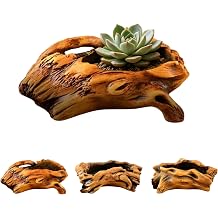 Rustic Driftwood Planter, Artificial Driftwood Cement Flower Pot with Drainages Hole, Small Vintage Flower Pot for Indoor Outdoor Garden, Office Desk, Bonsai & Cactus Container Beige#1
