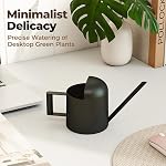 Bamworld Petits pots d'arrosage intérieur / extérieur Plante en métal noir Acier inoxydable Long Spoutt Fleurs Arrosage Can pour maison Jardin Plantes 10OZ Bouteille d'arrosage mignon décoratif pour Bonsai