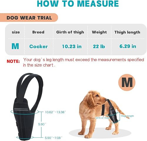 Miniatura 4 de Rodillera para perro para pierna trasera desgarrada, soporte ajustable con 2 estabilizadores para reducir el dolor, lesiones de ligamentos y rótula