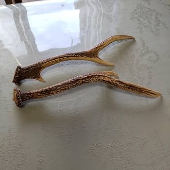 Amazon.co.jp: 鹿の角 奈良 春日大社 角切り神事 天然 鹿角 1対