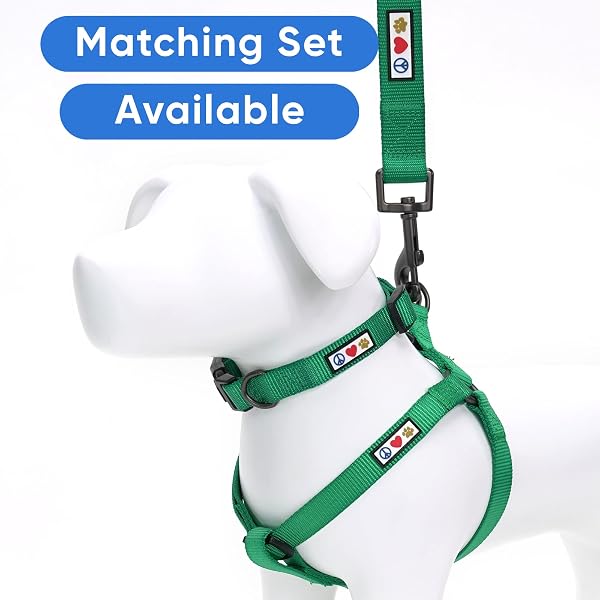 Pawtitas Extra Small Solid Lush Green Dog Collar - Adjustable Puppy Collar with Matching Leash and Harness - 5